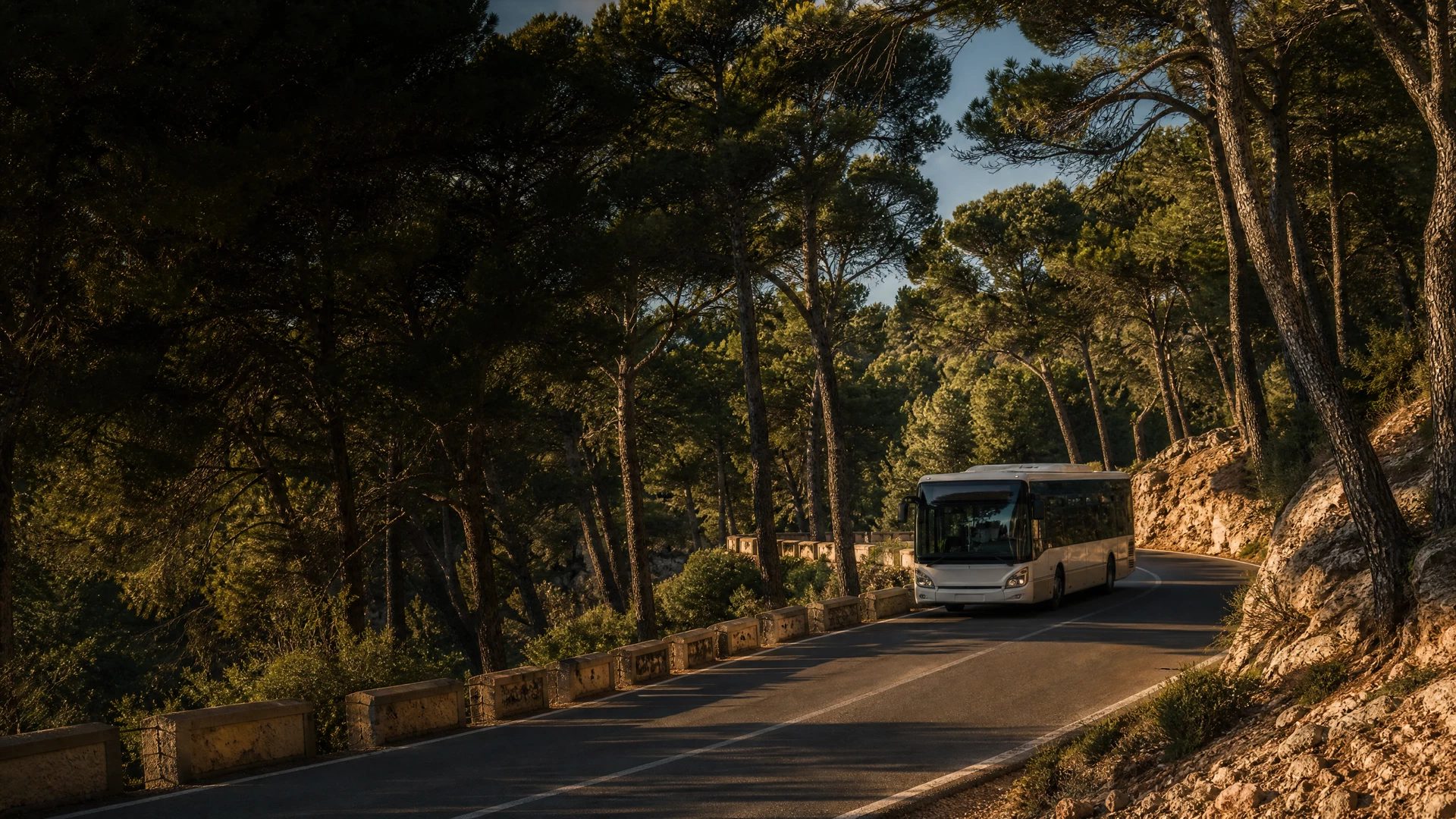 Quiet Ibiza island bus stop beneath a pine with a white and teal bus approaching